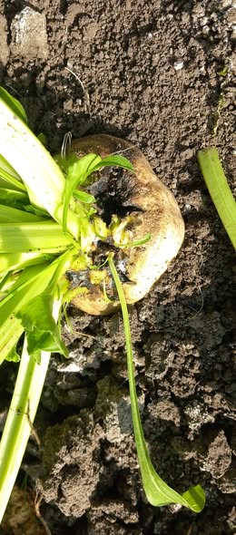 ممكن نتعرف على السبب وايه العلاج بعد ازنك